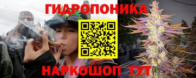 Альфа ПВП Дубна