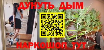 Альфа ПВП Дубна