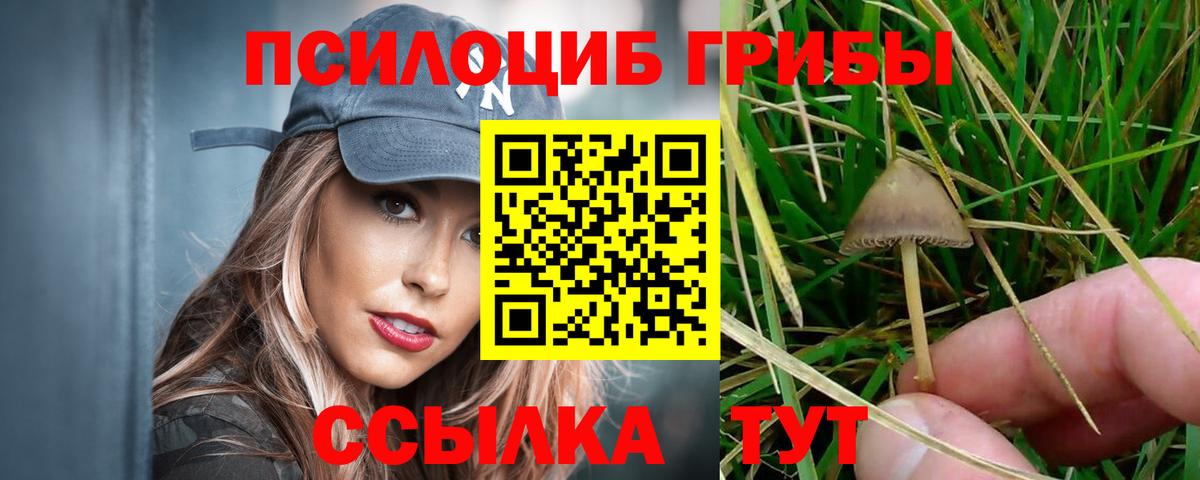 Лыткарино  Псилоцибиновые грибы ЛСД  Псилоцибиновые грибы мухоморы  Вход с VPN 